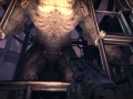 ShippingPC-StormGame 2014-12-13 13-01-28-08.png
